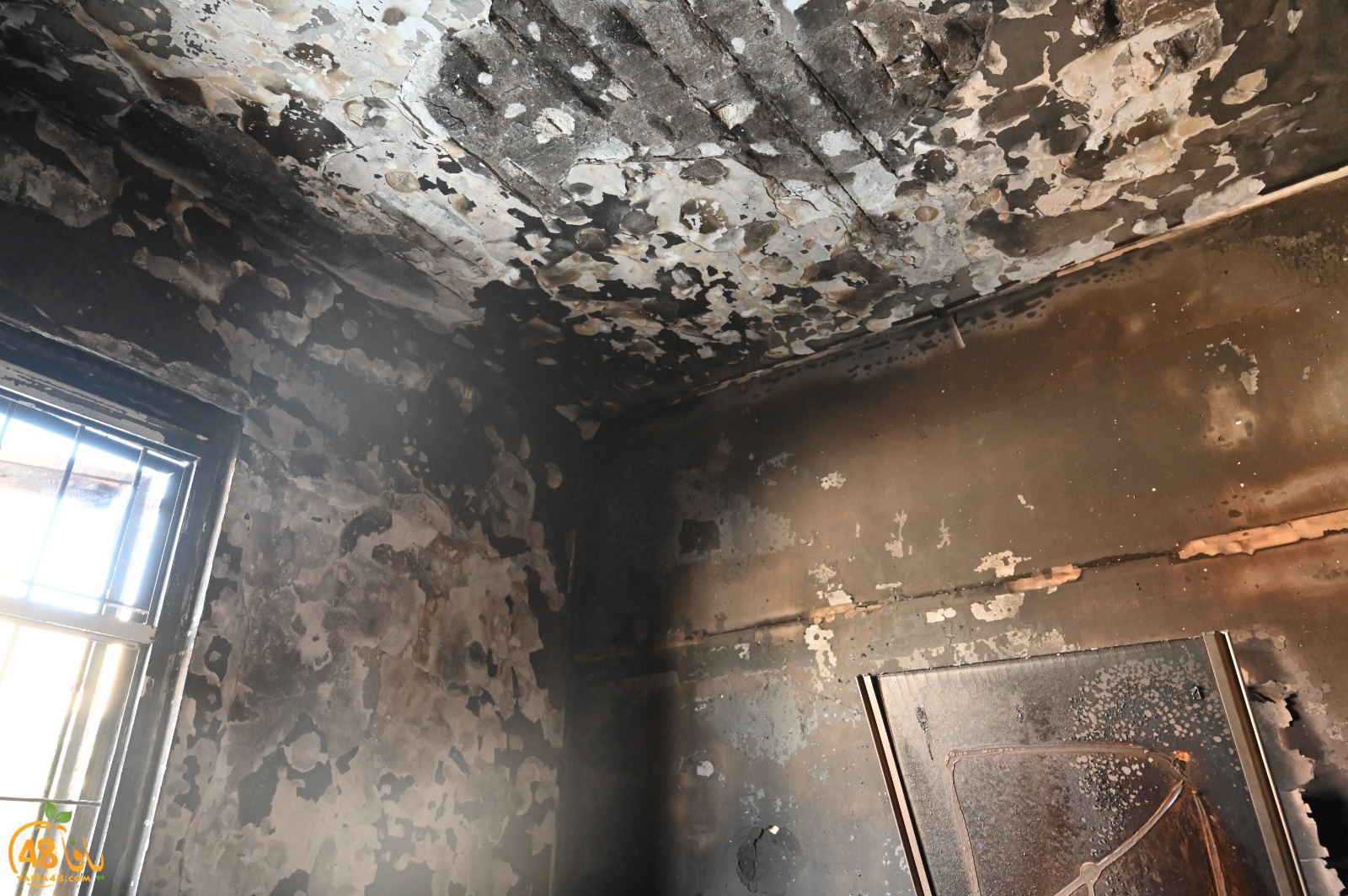 WhatsApp Image 2023-08-03 at 6.55.18 PM.jpeg